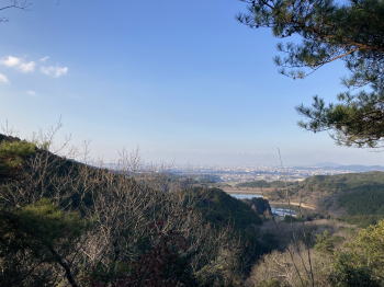 �����񍐎ʐ^