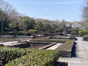 �����񍐎ʐ^